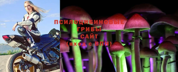 спайс Алзамай