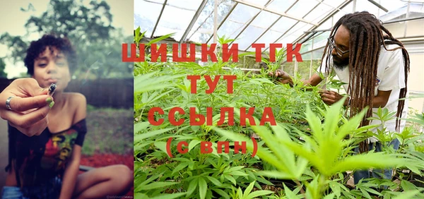 спайс Алзамай