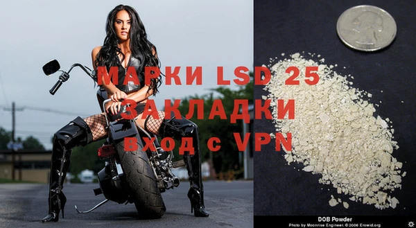 спайс Алзамай