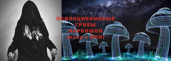 спайс Алзамай