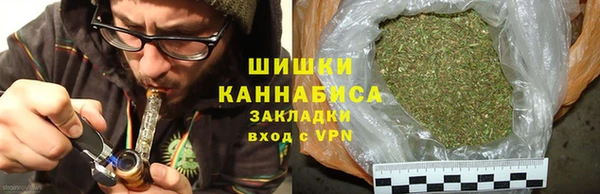 спайс Алзамай